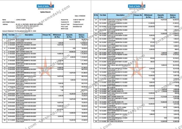 India Bank of India account statement Word and PDF template, 2 pages